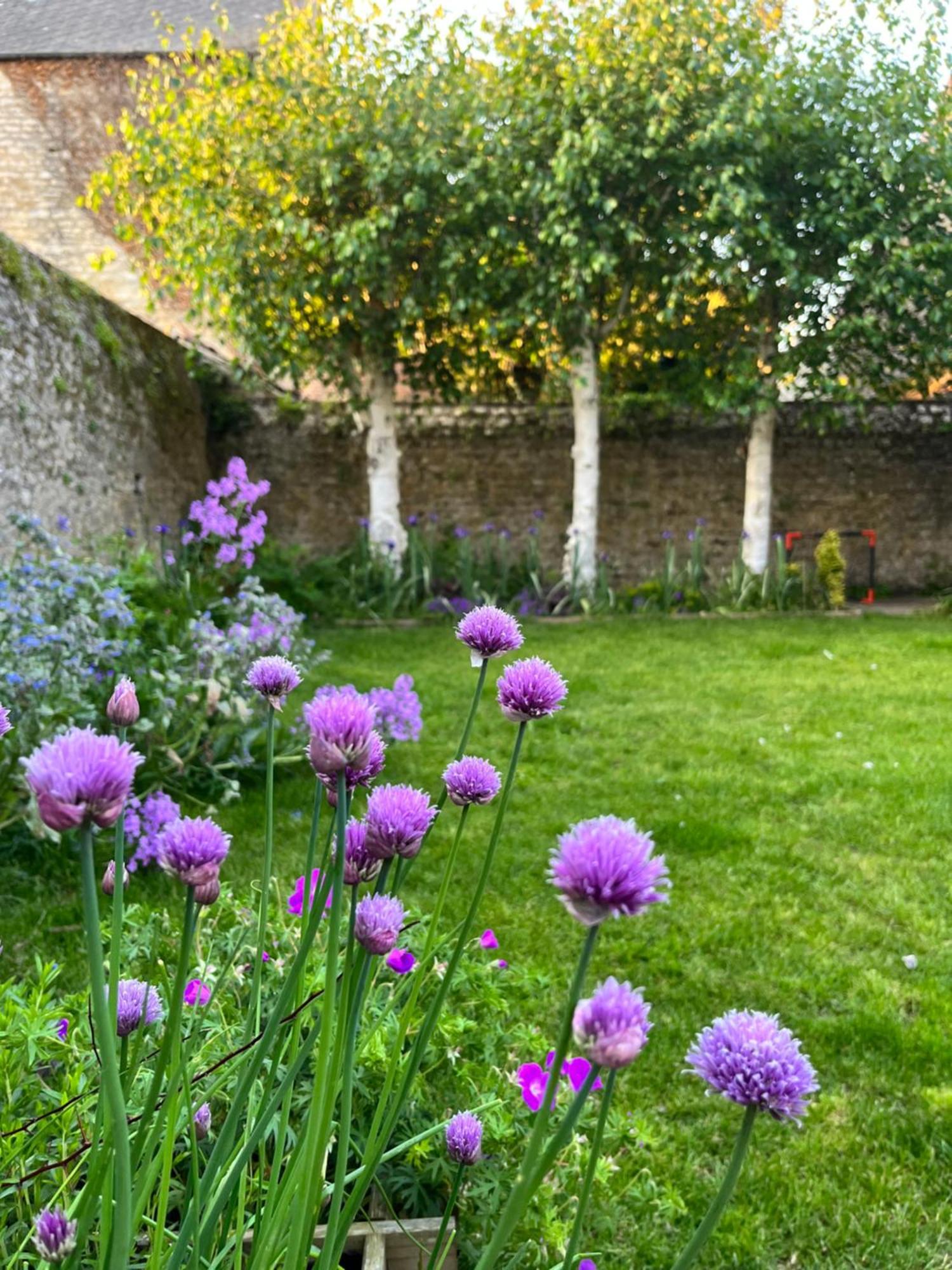 Maison Chaleureuse Avec Jardin - Pause Normande Sées Zewnętrze zdjęcie