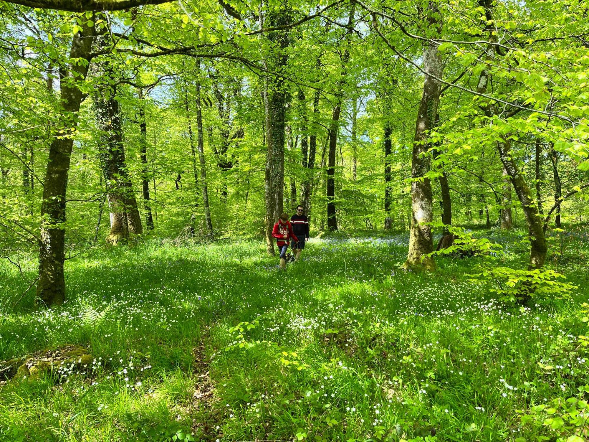 Maison Chaleureuse Avec Jardin - Pause Normande Sées Zewnętrze zdjęcie